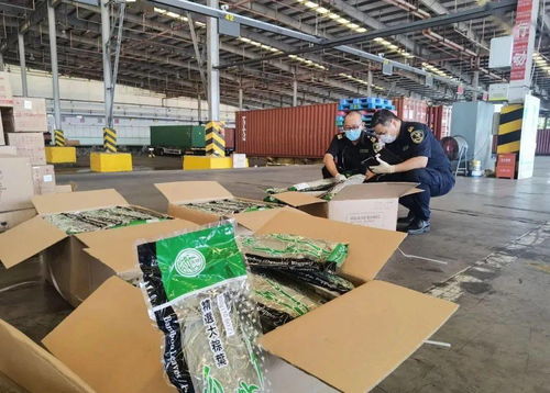 《中華人民共和國進出口食品安全管理辦法》解讀與工程管理咨詢的協同應用